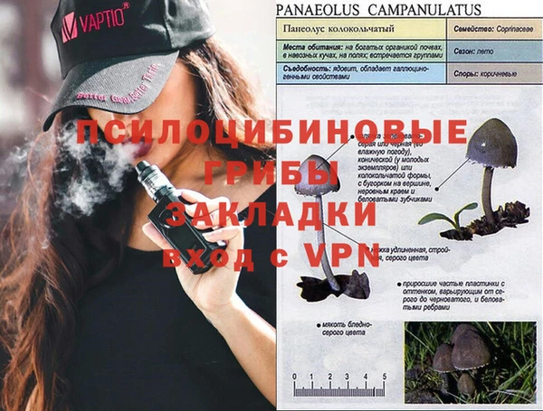 ECSTASY Алзамай
