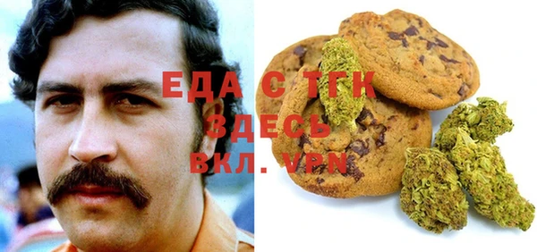 СК Алексин