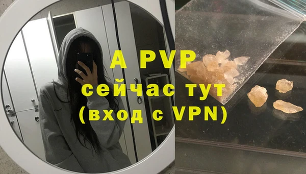 СК Алексин