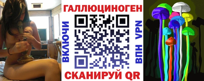 Псилоцибиновые грибы Psilocybe  наркошоп  Тында 