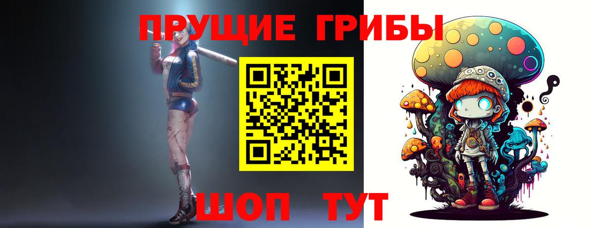 Галлюциногенные грибы мицелий  Вход с VPN  Галлюциногенные грибы MAGIC MUSHROOMS  Тында 